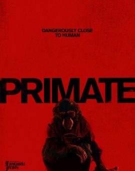 Primate